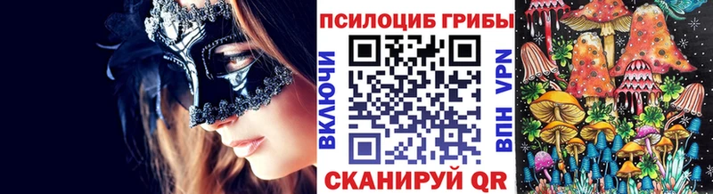 Галлюциногенные грибы мицелий  Морозовск 
